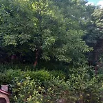 Apartman Turkana 2